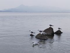 -深圳湾公园(南山区)