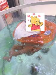 -鳄鱼泡泡游泳馆(新DNA购物中心店)