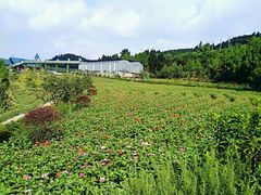 -中国香山·寿香谷