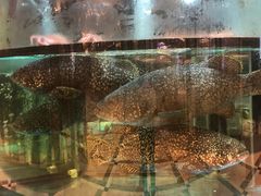 -金翠皇宫粤菜·点心·海鲜(科技园店)