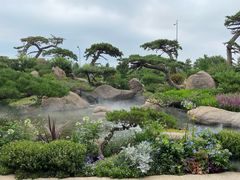 -罗红摄影艺术馆