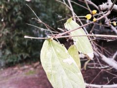 -白塘生态植物园