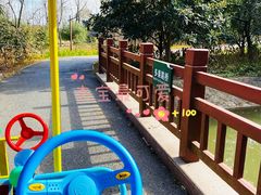 -上海滨江森林公园