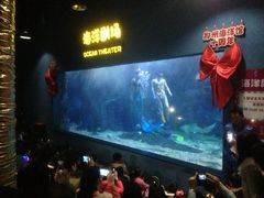 iphone_upload_pic-郑州海洋馆