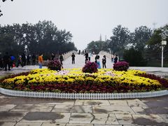 -赵州桥景区