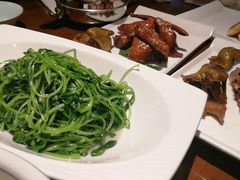 -燕郊烧鸽子(广安路店)