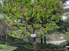 -广州市白云山风景名胜区