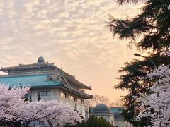 -武汉大学-樱园