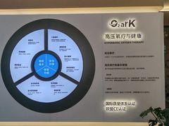 -O2ark智能微高压氧舱(天津旗舰店)