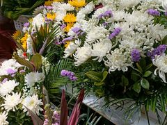 -循礼门鲜花花市(武汉循礼门店)