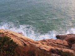 -广东惠东海龟国家级自然保护区