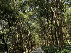 -上海市保健医疗中心