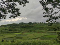 -乌石村