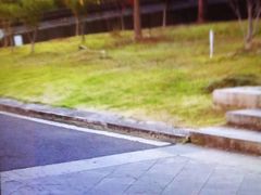 -黄山轩辕国际大酒店