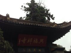 iphone_upload_pic-兴福禅寺