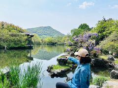 -西湖外事游船(花港观鱼码头)