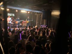 -坚果NUTS