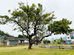 -广东罗浮山风景名胜区
