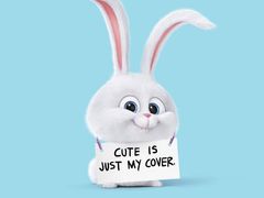 -洪记江鹰包行总店