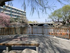 景点-沈阳南湖公园