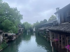 -乌镇西栅景区