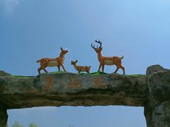 -野鸭湖国家湿地公园