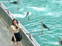 -海港城