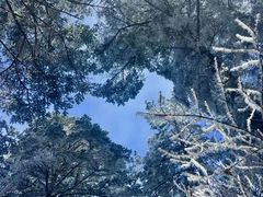 -峨嵋山金顶