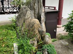 -上海醉白池公园