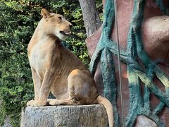 -清迈夜间动物园