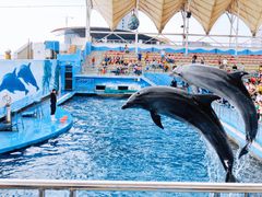 -秦皇岛新澳海底世界