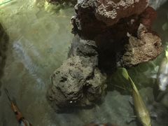 iphone_upload_pic-院落创意菜