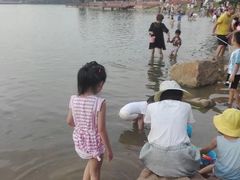 -丁香湖公园