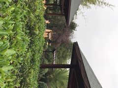 -咸宁万豪温泉谷度假区