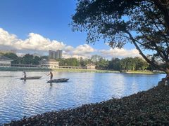 -荔湾湖公园