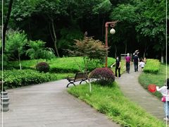 -重庆彩云湖湿地公园