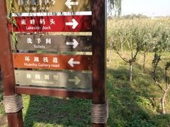 -西青郊野公园