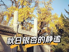 -苏州文庙(姑苏区)