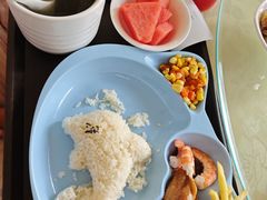 -深圳野生动物园