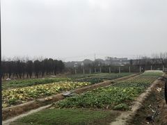 -呼吸森林·生态农庄农家乐私房菜