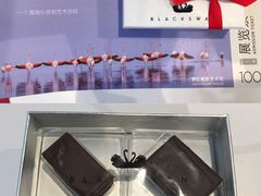 -BLACKSWAN黑天鹅(环球店)