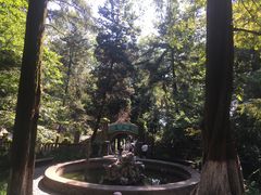 -莫干山风景区