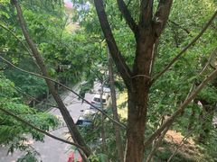 -上海虹桥迎宾馆