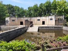 -合肥野生动物园