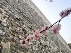 -北京明城墙遗址公园