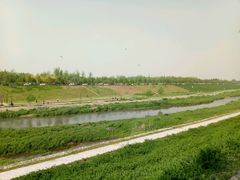 -洨河生态公园