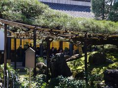 -中村藤吉(本店)