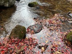 -本溪老边沟风景区