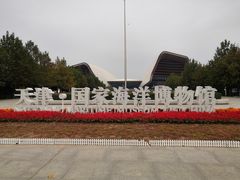 -贝林大翅鲸简餐厅(国家海洋博物馆店)