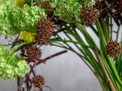 -荷兰布尔玛国际花艺学院